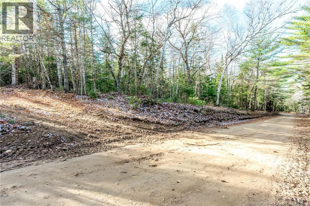 17 Deerwood Drive, Elgin, New Brunswick E4Z 1S3 - Photo 42 - NB130135