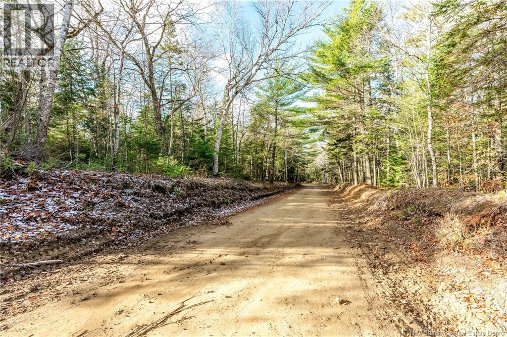 17 Deerwood Drive, Elgin, New Brunswick E4Z 1S3 - Photo 43 - NB130135