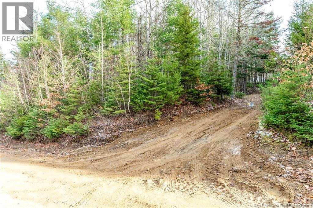 17 Deerwood Drive, Elgin, New Brunswick E4Z 1S3 - Photo 44 - NB130135