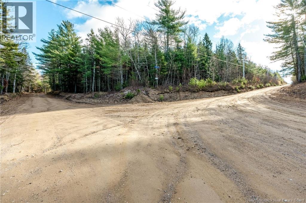 17 Deerwood Drive, Elgin, New Brunswick E4Z 1S3 - Photo 45 - NB130135