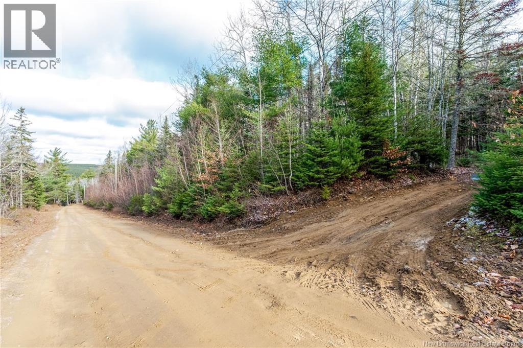 17 Deerwood Drive, Elgin, New Brunswick E4Z 1S3 - Photo 46 - NB130135