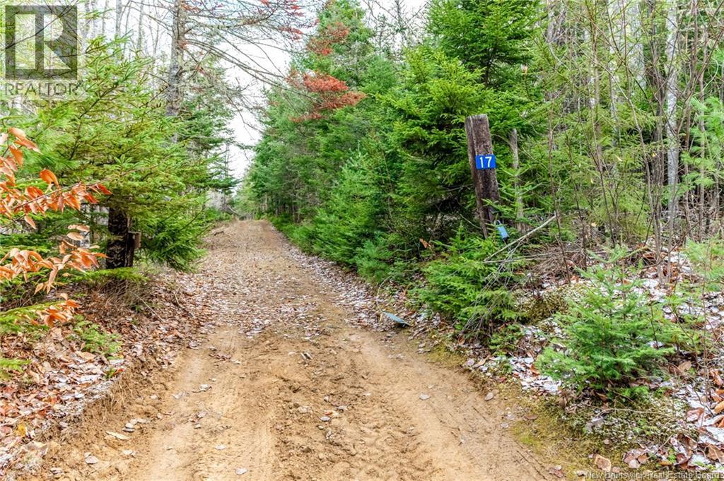 17 Deerwood Drive, Elgin, New Brunswick E4Z 1S3 - Photo 47 - NB130135