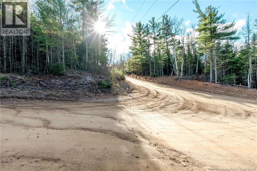 17 Deerwood Drive, Elgin, New Brunswick E4Z 1S3 - Photo 48 - NB130135