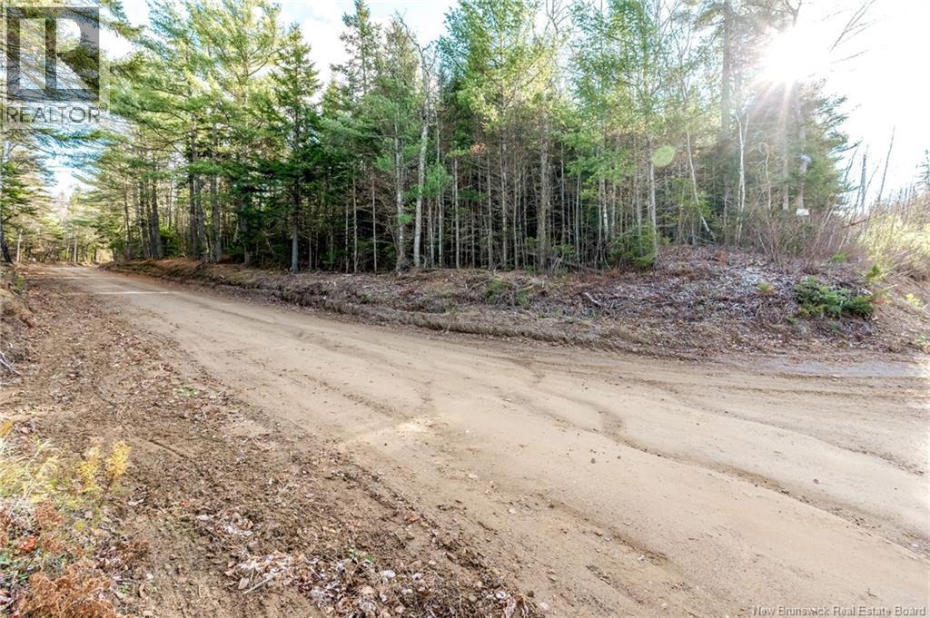 17 Deerwood Drive, Elgin, New Brunswick E4Z 1S3 - Photo 49 - NB130135