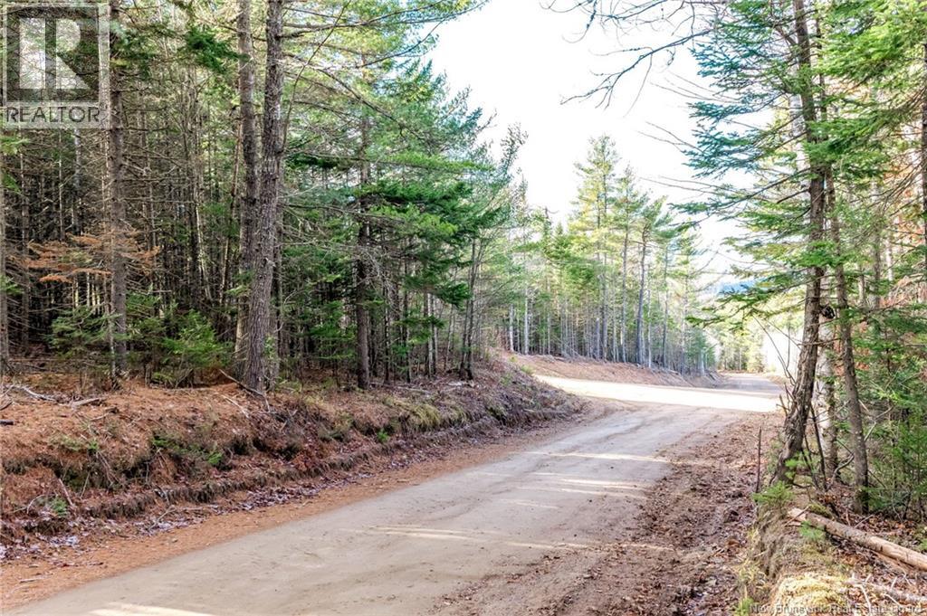 17 Deerwood Drive, Elgin, New Brunswick E4Z 1S3 - Photo 50 - NB130135