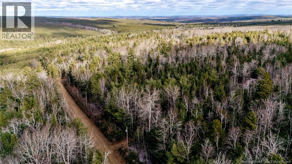 17 Deerwood Drive, Elgin, New Brunswick E4Z 1S3 - Photo 6 - NB130135