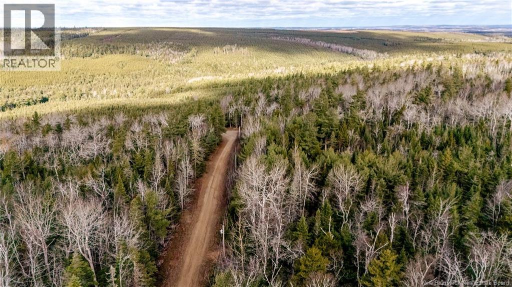 17 Deerwood Drive, Elgin, New Brunswick E4Z 1S3 - Photo 7 - NB130135