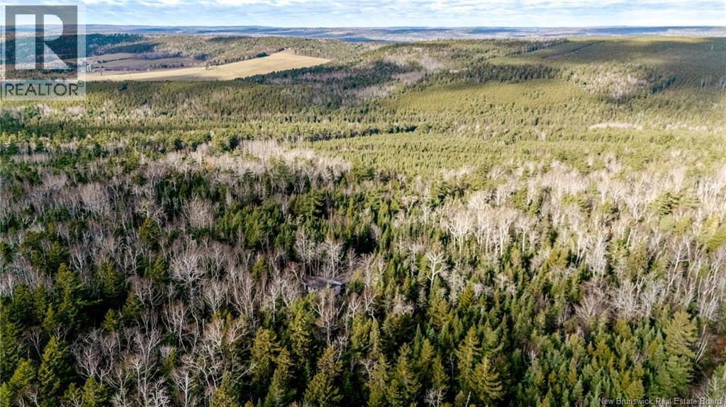 17 Deerwood Drive, Elgin, New Brunswick E4Z 1S3 - Photo 8 - NB130135