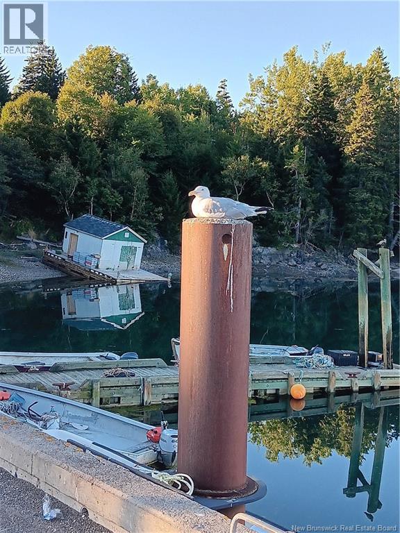 Head Harbour Wharf Rd, Campobello Island, New Brunswick E5E 1X2 - Photo 3 - NB130145