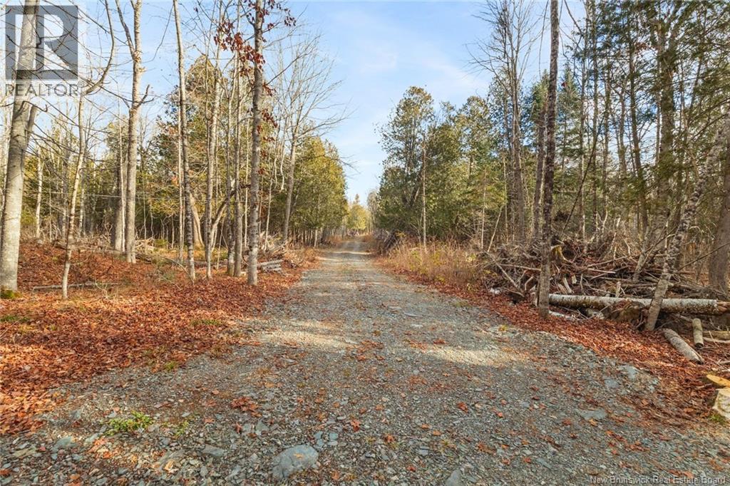 Lot 1 Bartlett Lane, Stanley, New Brunswick E6B 1B9 - Photo 35 - NB130098