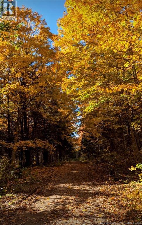 Lot 1 Bartlett Lane, Stanley, New Brunswick E6B 1B9 - Photo 36 - NB130098