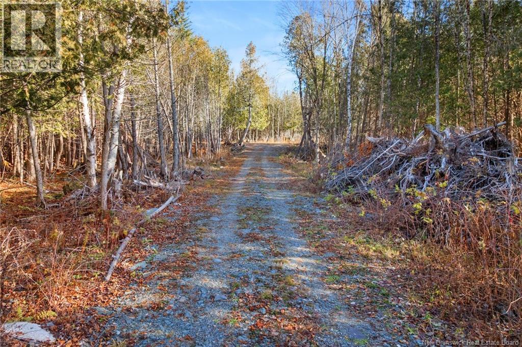 Lot 1 Bartlett Lane, Stanley, New Brunswick E6B 1B9 - Photo 40 - NB130098