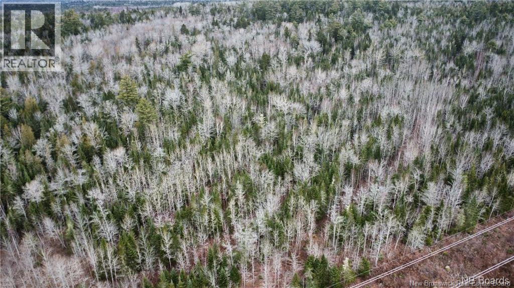 Lot Route 735, Mayfield, New Brunswick E3L 5M9 - Photo 3 - NB130158
