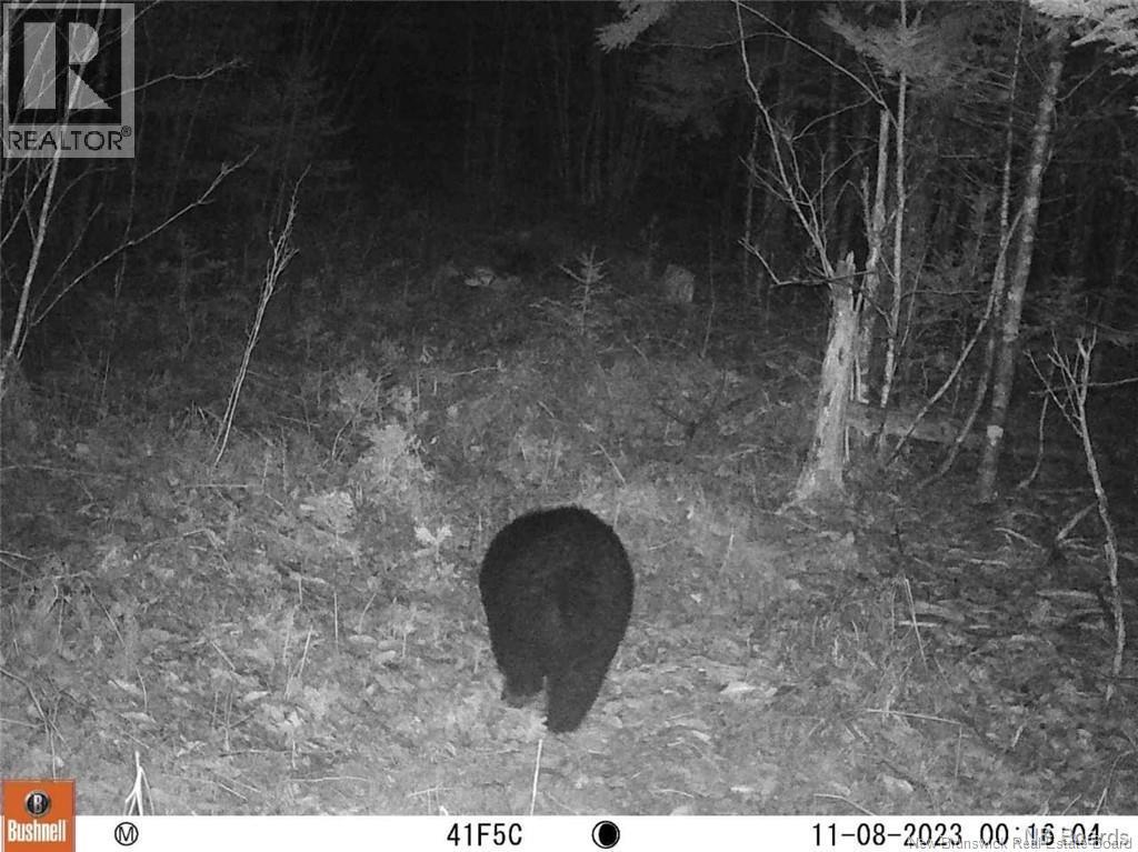 Lot Scotch Ridge Road, Hayman Hill, New Brunswick E3L 5A8 - Photo 3 - NB130157