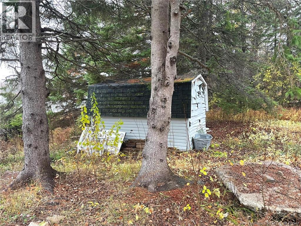 53 Country, Shediac River, New Brunswick E4R 2A9 - Photo 12 - NB130159