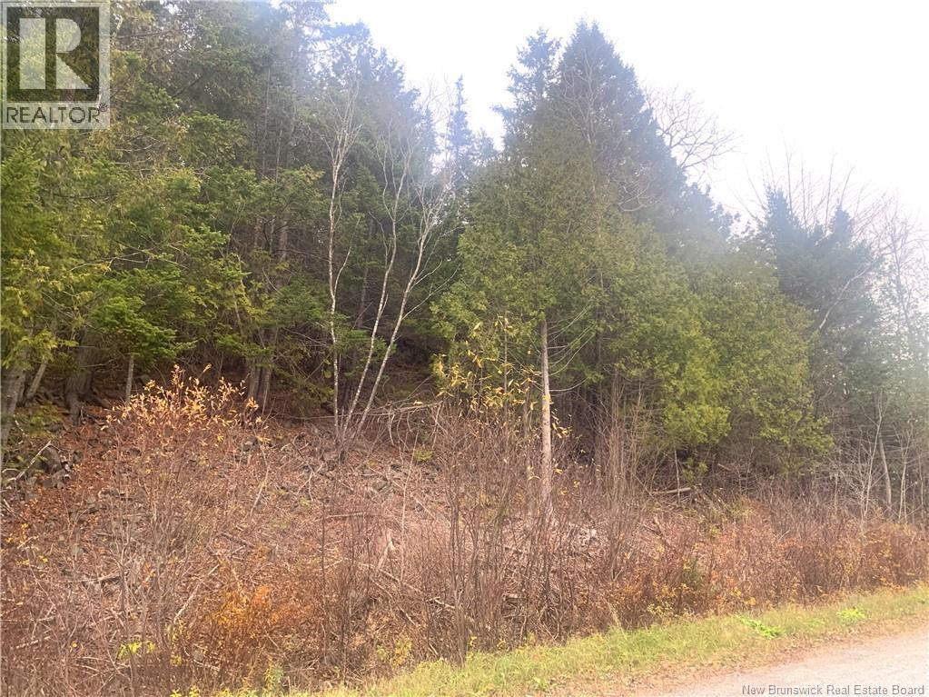 43 Spur No.1 Road, Bocabec, New Brunswick  E5B 3K1 - Photo 7 - NB129658