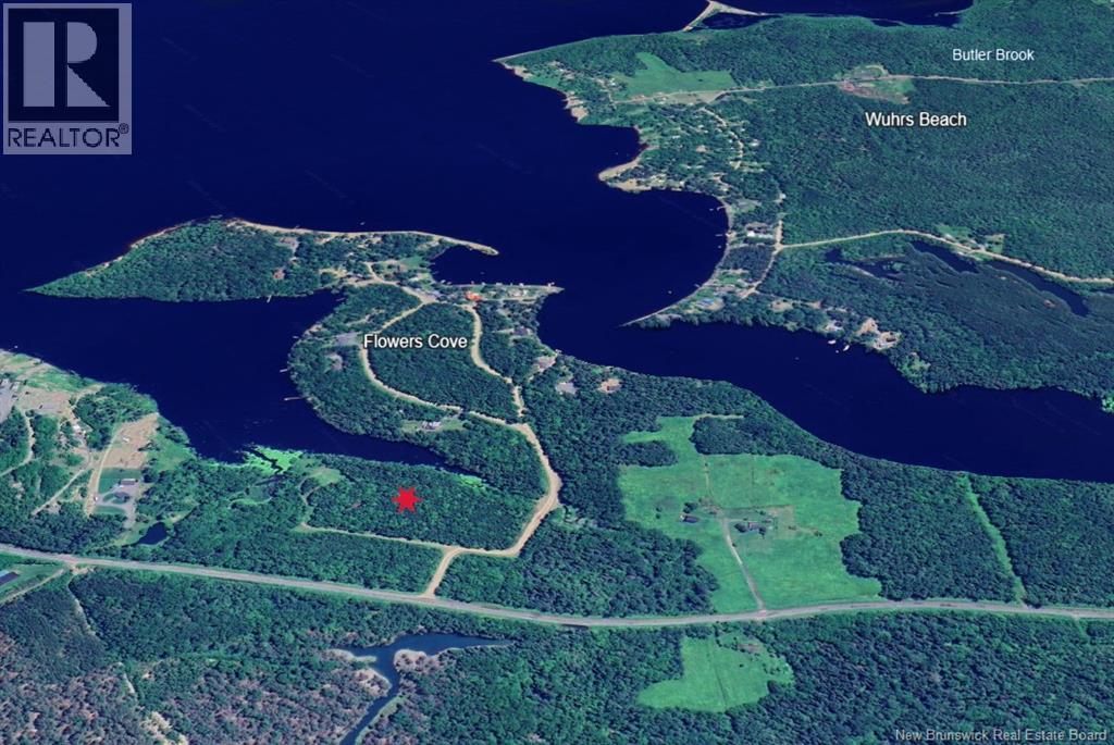 0 Waterfront Lane, Flowers Cove, New Brunswick O0O 0O0 - Photo 4 - NB130170