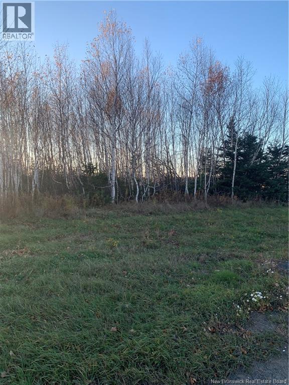 Terrain 0,28 Acres Route 135, Duguayville, New Brunswick E8M 1K2 - Photo 2 - NB130097