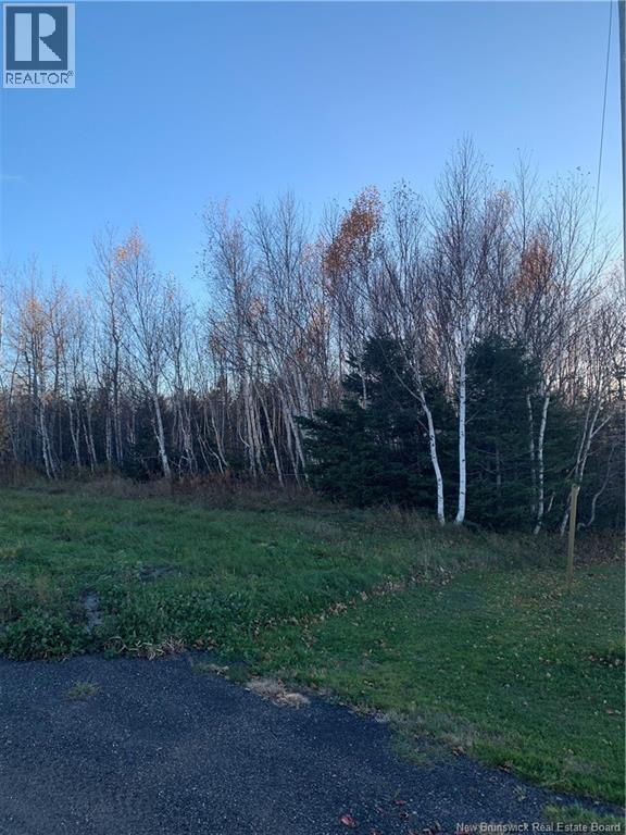 Terrain 0,28 Acres Route 135, Duguayville, New Brunswick E8M 1K2 - Photo 5 - NB130097