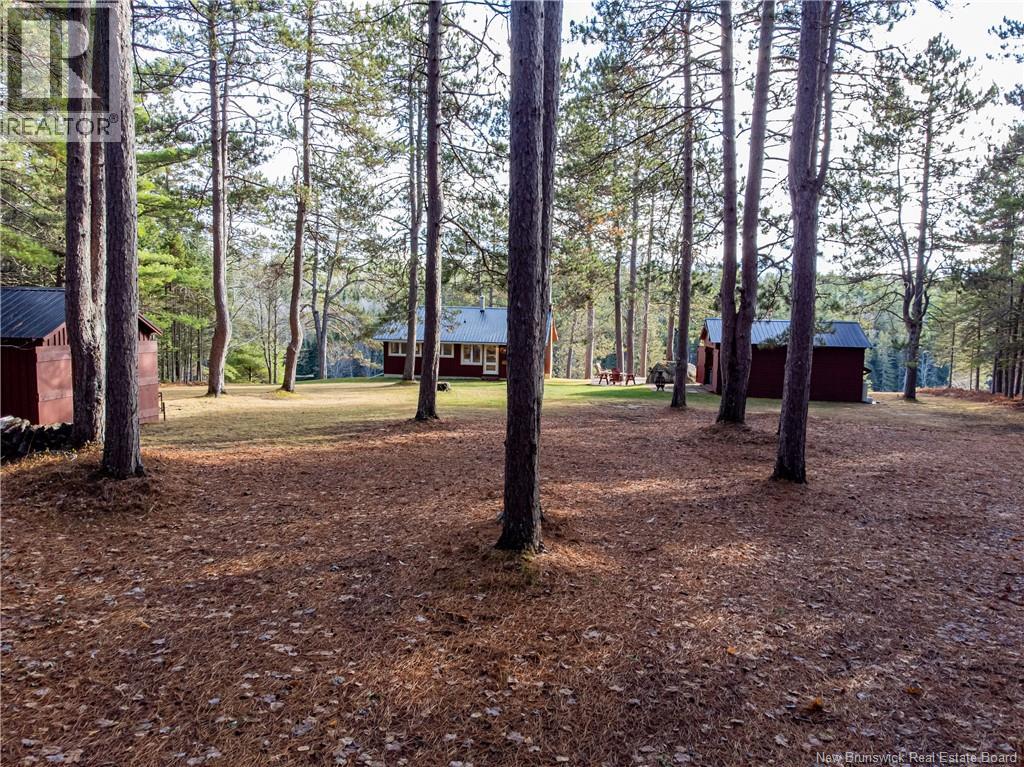 Camp Hwy 123 Road, Cains River, New Brunswick  E9C 1J7 - Photo 37 - NB130174