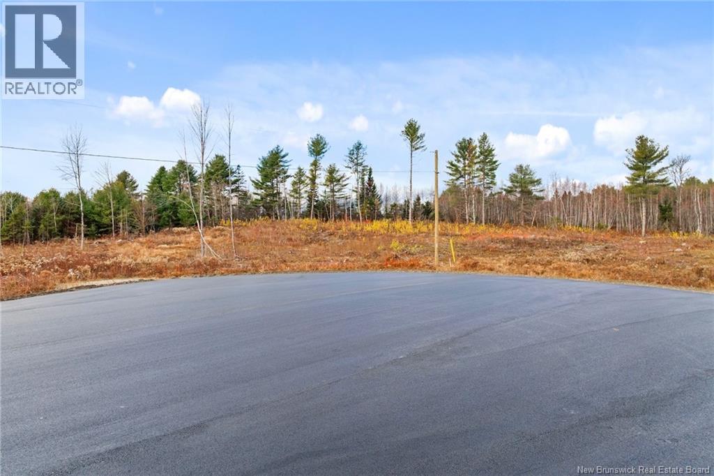 23-9 Finn Crescent, Nackawic, New Brunswick E6G 1W1 - Photo 23 - NB130194