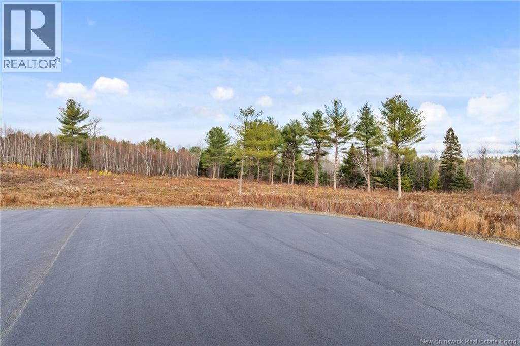 23-4 Finn Crescent, Nackawic, New Brunswick E6G 1W1 - Photo 22 - NB130189