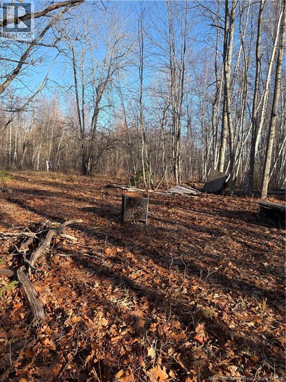 670 Back Road, Scotchtown, New Brunswick  E4B 1Y3 - Photo 5 - NB130161