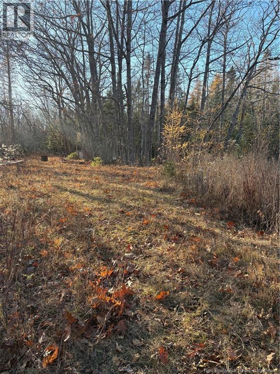 670 Back Road, Scotchtown, New Brunswick  E4B 1Y3 - Photo 7 - NB130161