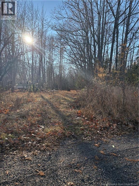 670 Back Road, Scotchtown, New Brunswick  E4B 1Y3 - Photo 8 - NB130161