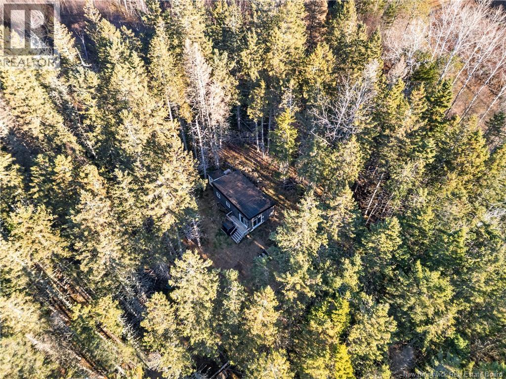 Camp Route Lavallee, Memramcook, New Brunswick  E4K 3C5 - Photo 20 - NB130288