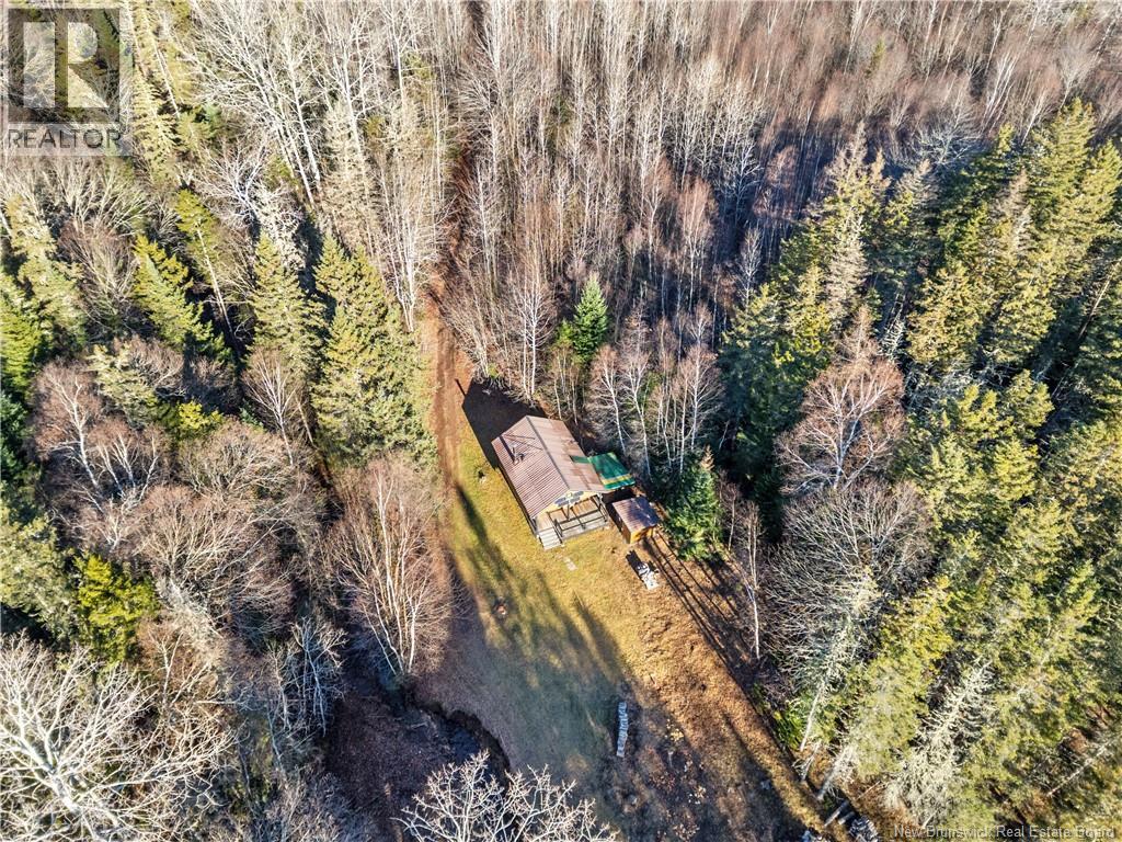 Camp Route Lavallee, Memramcook, New Brunswick  E4K 3C5 - Photo 21 - NB130288