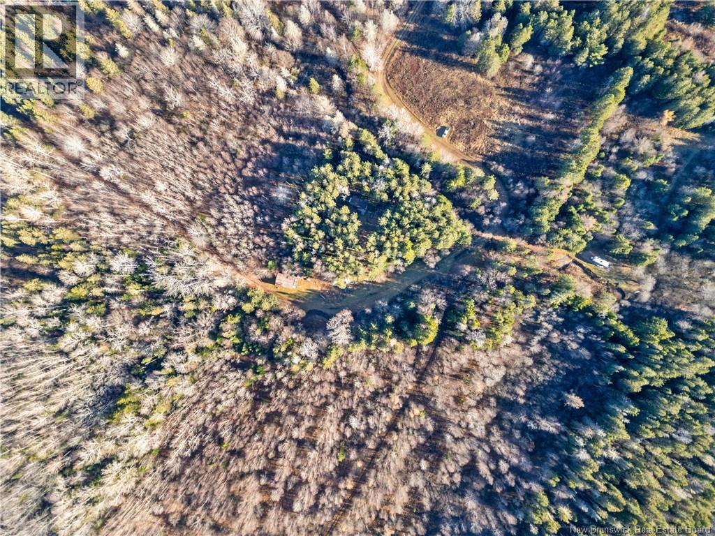 Camp Route Lavallee, Memramcook, New Brunswick  E4K 3C5 - Photo 22 - NB130288