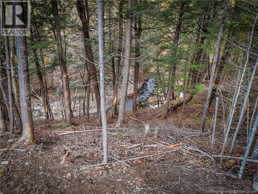 47 Lower Durham Road, Durham Bridge, New Brunswick E6C 1J1 - Photo 21 - NB130303