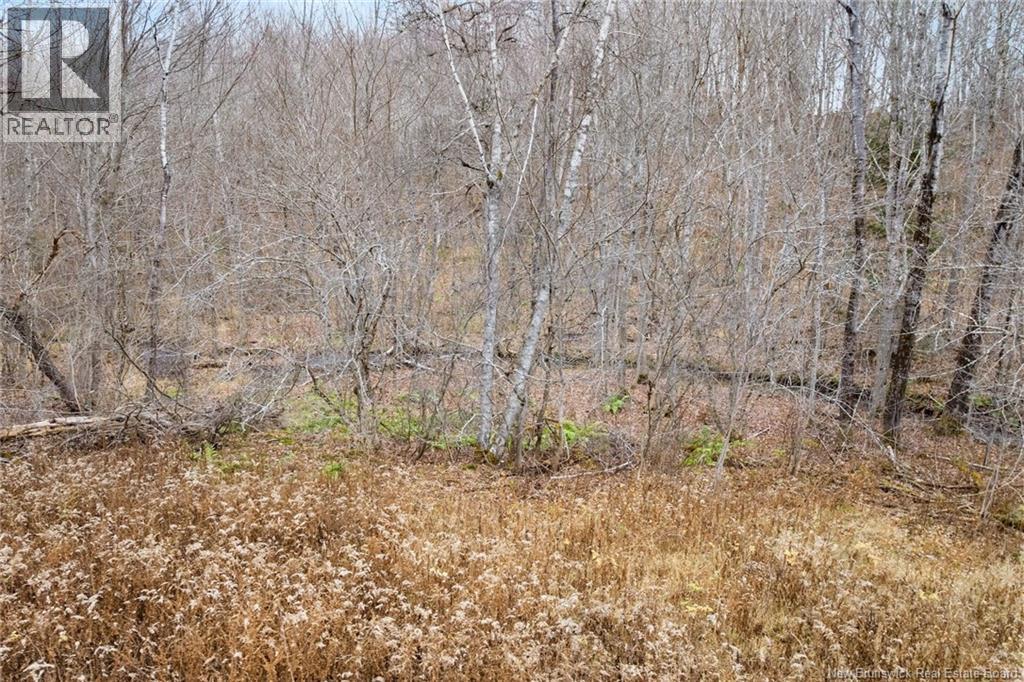 71 Chestnut Street, Minto, New Brunswick  E4B 3L4 - Photo 28 - NB130397