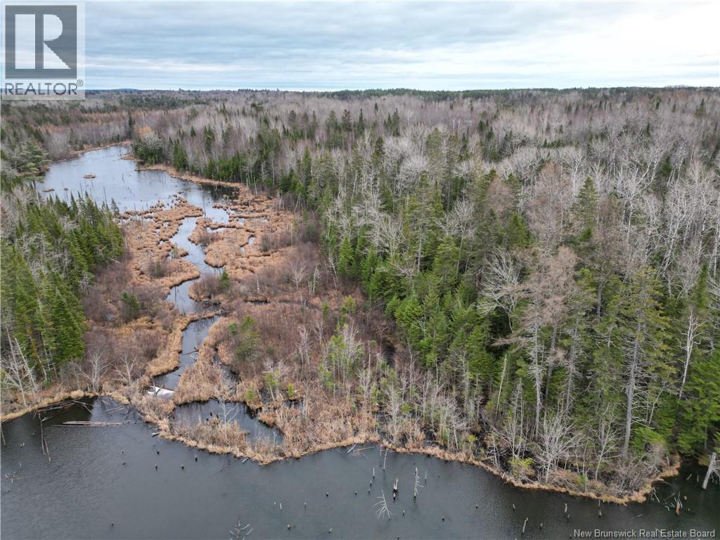 Avon Road, New Avon, New Brunswick E4B 3T3 - Photo 13 - NB130235