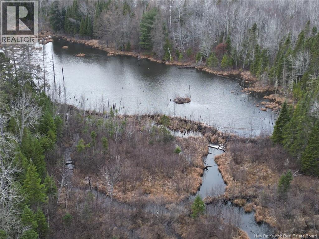 Avon Road, New Avon, New Brunswick E4B 3T3 - Photo 15 - NB130235