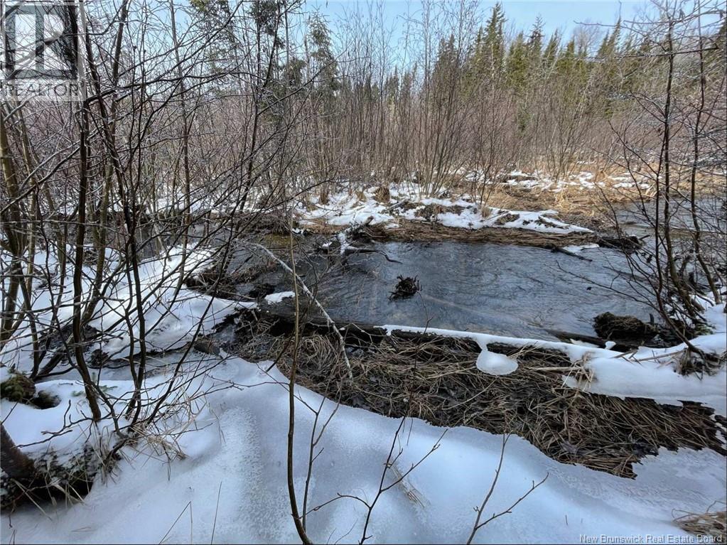 Avon Road, New Avon, New Brunswick E4B 3T3 - Photo 19 - NB130235