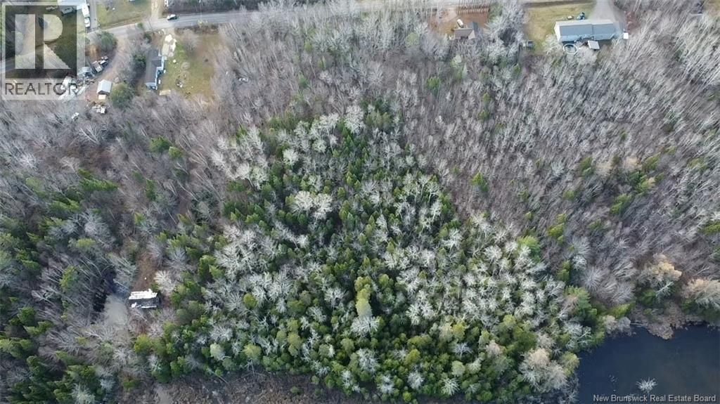 Avon Road, New Avon, New Brunswick E4B 3T3 - Photo 23 - NB130235