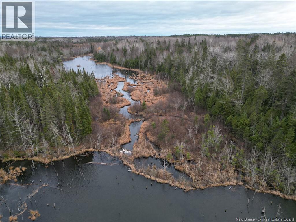 Avon Road, New Avon, New Brunswick E4B 3T3 - Photo 7 - NB130235