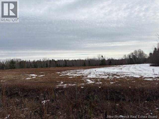 00 Route 3, Old Ridge, New Brunswick  E3L 5Z3 - Photo 3 - NB130380