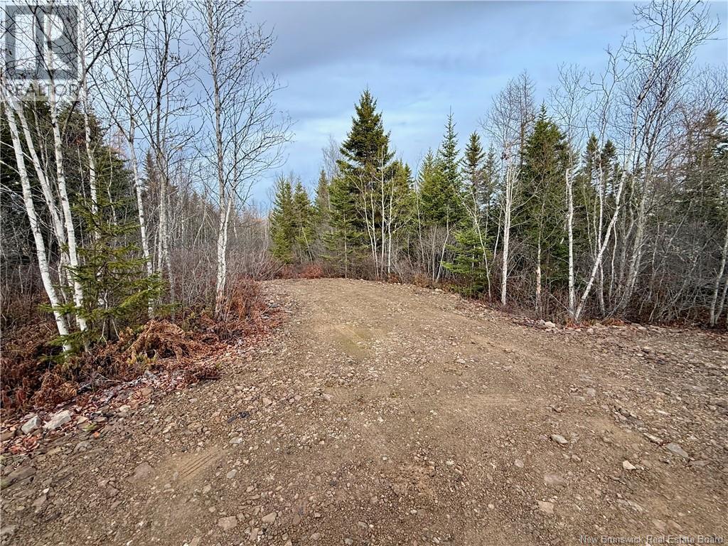 1192 Rte 935, Rockport, New Brunswick  E4K 3N1 - Photo 16 - NB130473