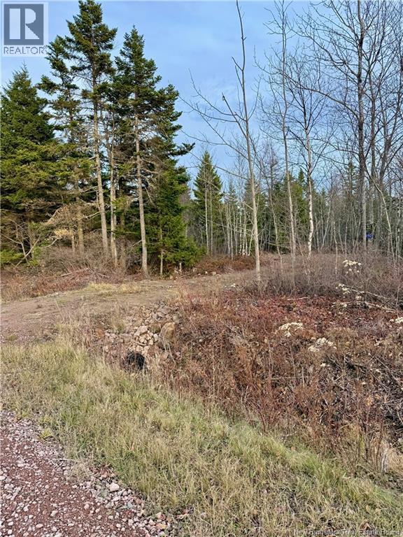 1192 Rte 935, Rockport, New Brunswick  E4K 3N1 - Photo 4 - NB130473
