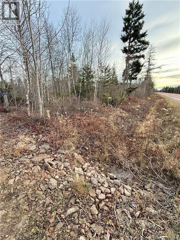 1192 Rte 935, Rockport, New Brunswick  E4K 3N1 - Photo 9 - NB130473