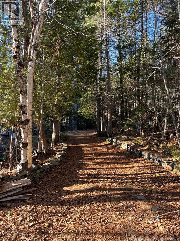 4 Pamela Lane, Wickham, New Brunswick  E5T 0B6 - Photo 5 - NB130434