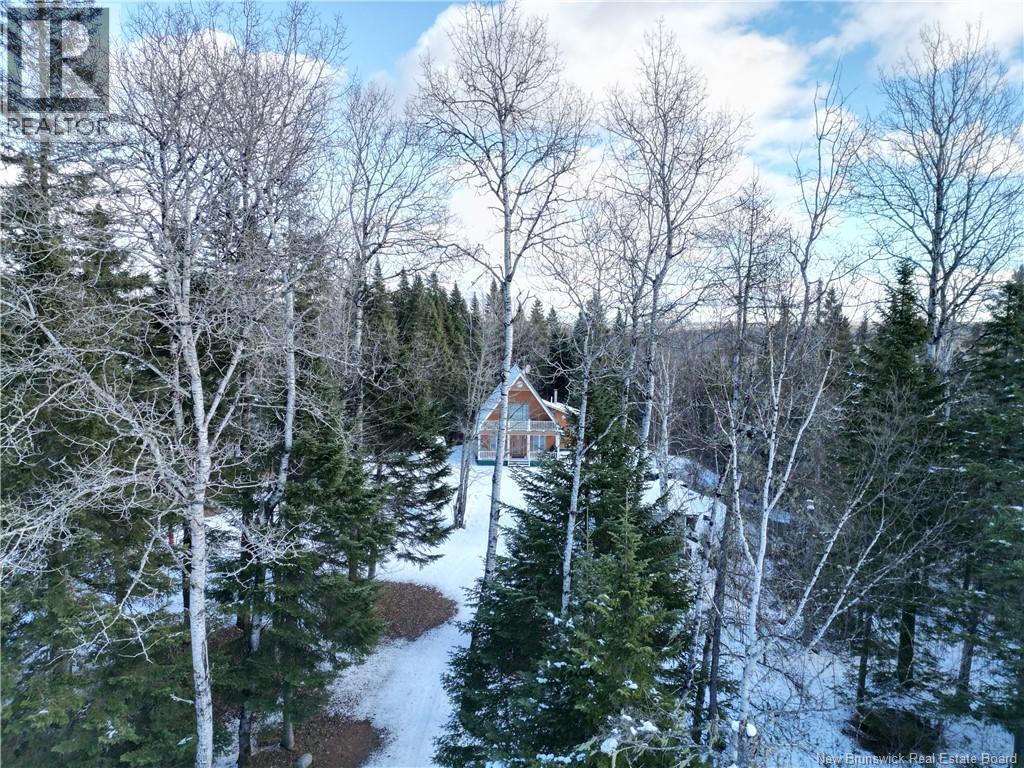 1175 Canton Road, Dsl De Drummond/dsl Of Drummond, New Brunswick  E3Y 3W8 - Photo 27 - NB130400