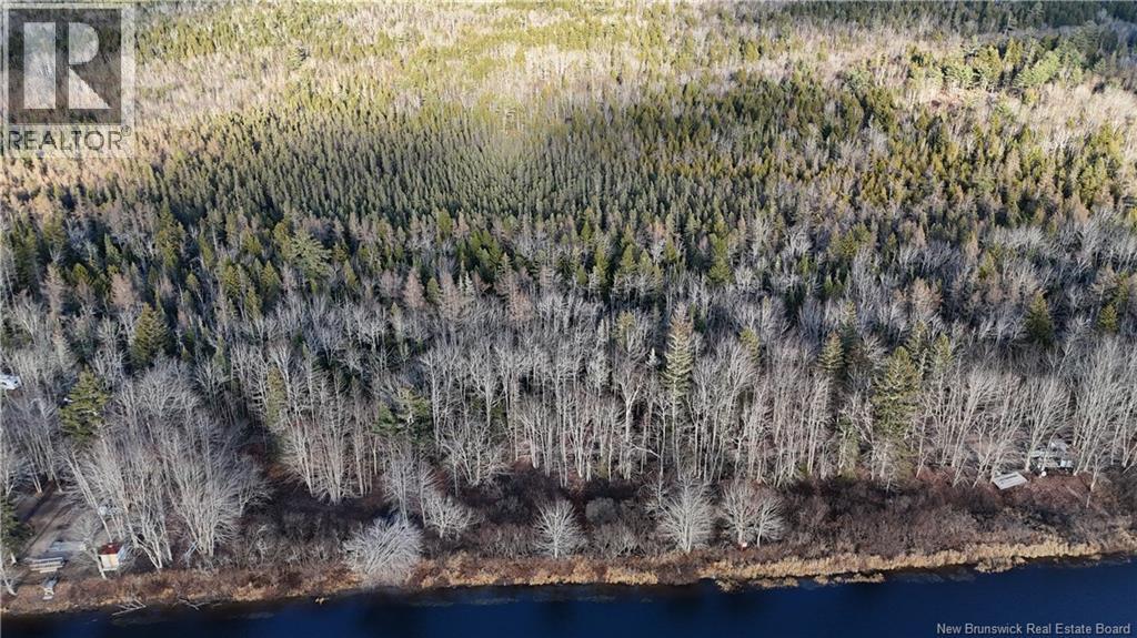 Canal Road, Canal, New Brunswick  E5C 1H1 - Photo 8 - NB130366