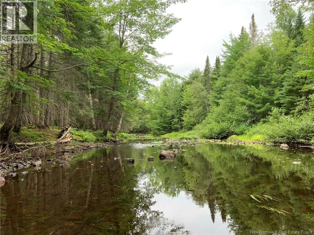 11.2 Acres South Black River, Black River Bridge, New Brunswick  E1N 5S8 - Photo 1 - NB130534