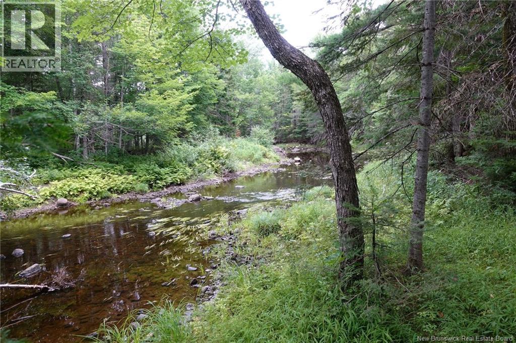 11.2 Acres South Black River, Black River Bridge, New Brunswick  E1N 5S8 - Photo 17 - NB130534