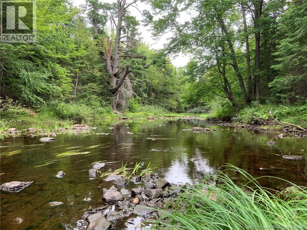 11.2 Acres South Black River, Black River Bridge, New Brunswick  E1N 5S8 - Photo 2 - NB130534