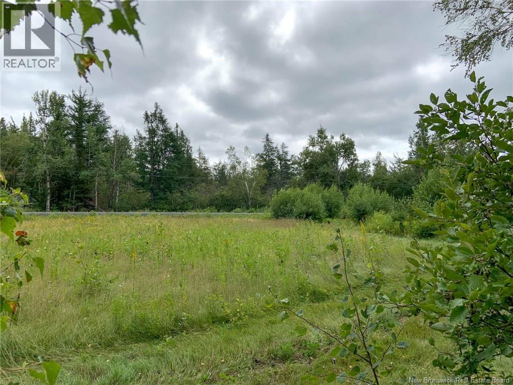 11.2 Acres South Black River, Black River Bridge, New Brunswick  E1N 5S8 - Photo 27 - NB130534